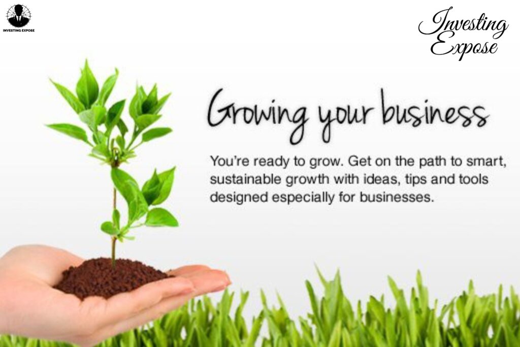 Growing a business