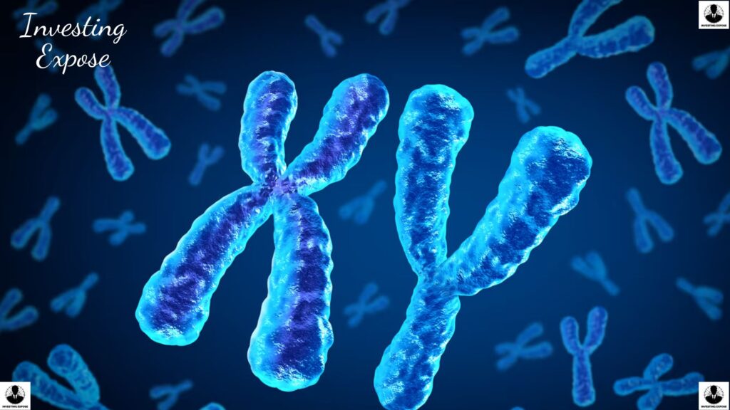 Y Chromosomes